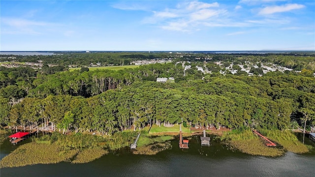 bird's eye view featuring a water view and a view of trees