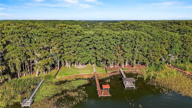 drone / aerial view featuring a water view and a view of trees