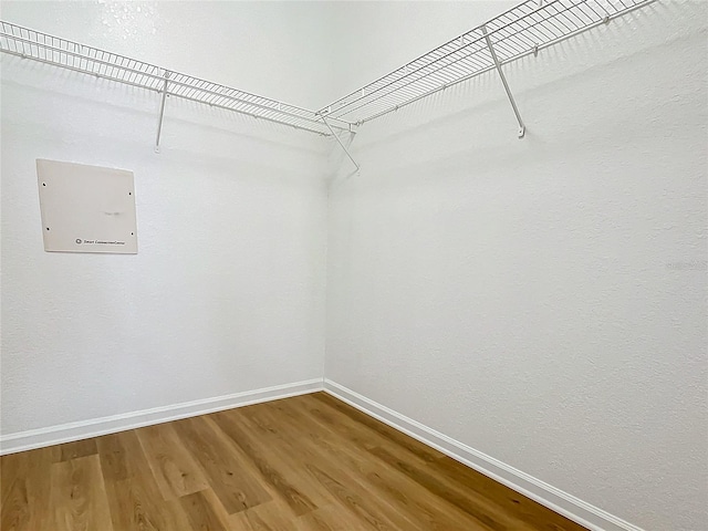 spacious closet with wood-type flooring