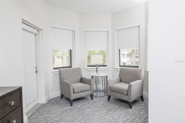 sitting room with carpet flooring