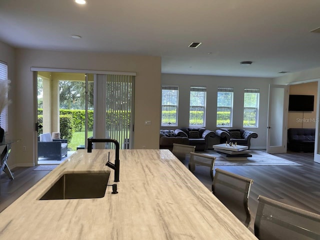 kitchen featuring a sink, baseboards, plenty of natural light, and wood finished floors