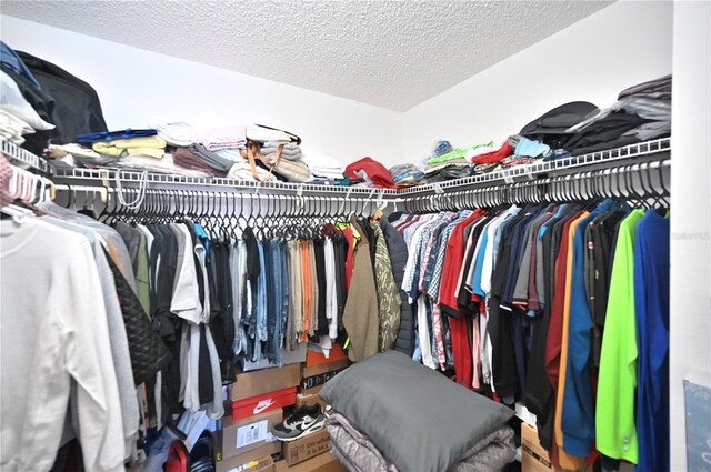 10255 Norwick St, Spring Hill, FL 34608 - view of walk in closet
