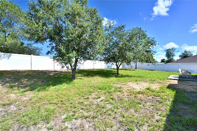 10255 Norwick St, Spring Hill, FL 34608 - view of yard with a fenced backyard
