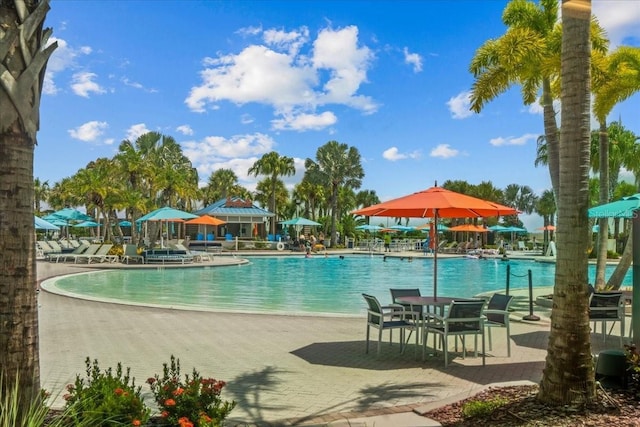 view of swimming pool with a patio area