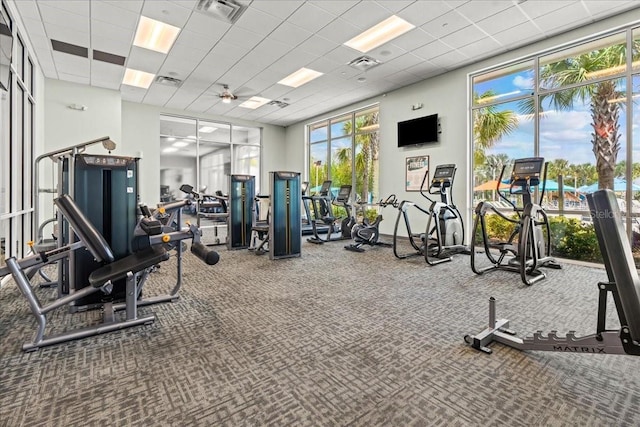 exercise room with a drop ceiling and carpet floors