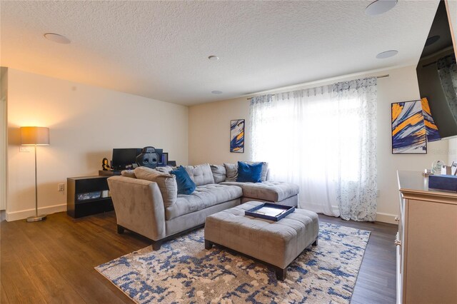 14007 Creek Harbor Dr, Orlando, FL 32824 - living room featuring dark wood-style floors, a textured ceiling, and baseboards