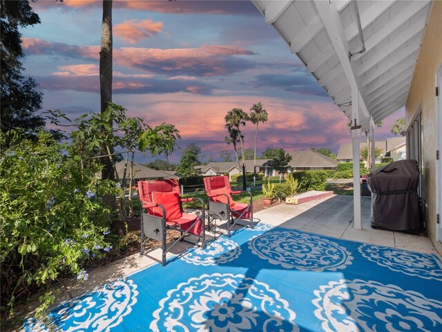 patio terrace at dusk with a grill