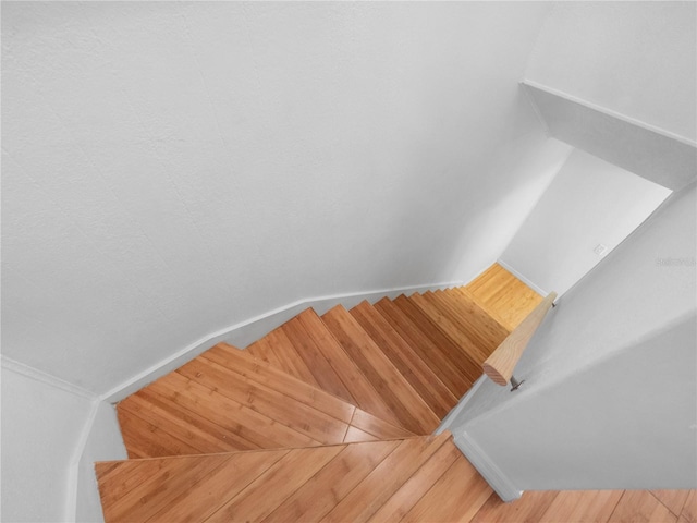 staircase with hardwood / wood-style floors