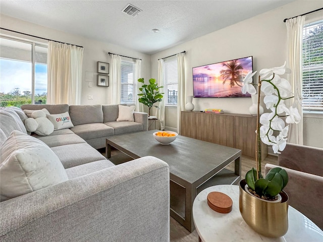 living room featuring a textured ceiling