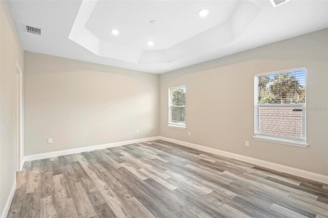 spare room with a healthy amount of sunlight, light wood-type flooring, and a tray ceiling