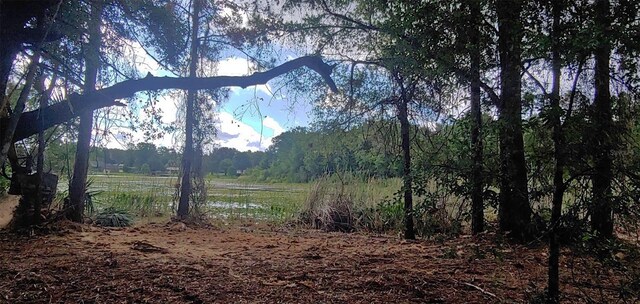 3051 S Old Floral City Rd, Inverness, Fl, FL 34450 - photo 6