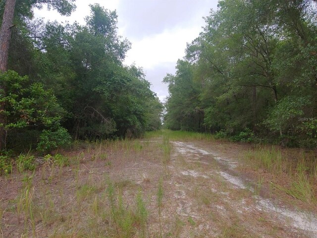 3051 S Old Floral City Rd, Inverness, Fl, FL 34450 - photo 7