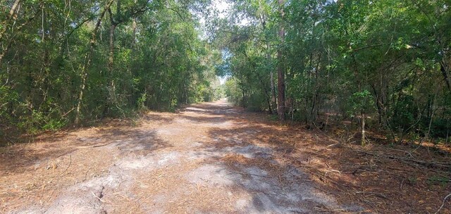 3051 S Old Floral City Rd, Inverness, Fl, FL 34450 - photo 9