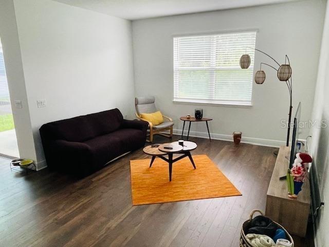 living room featuring dark hardwood / wood-style flooring