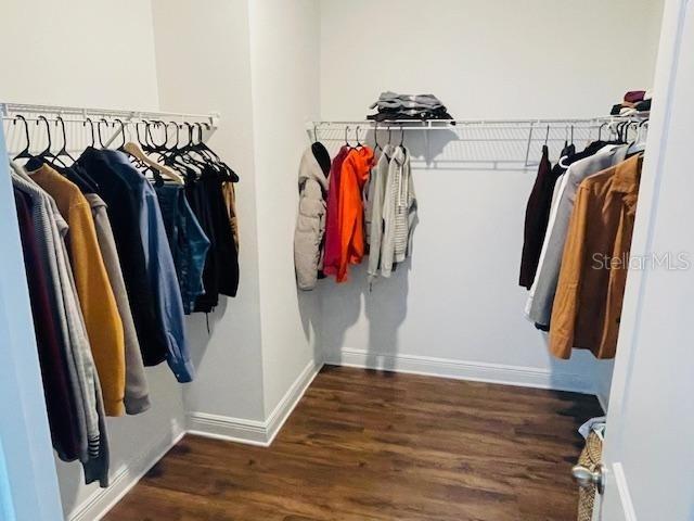 spacious closet featuring dark wood-type flooring