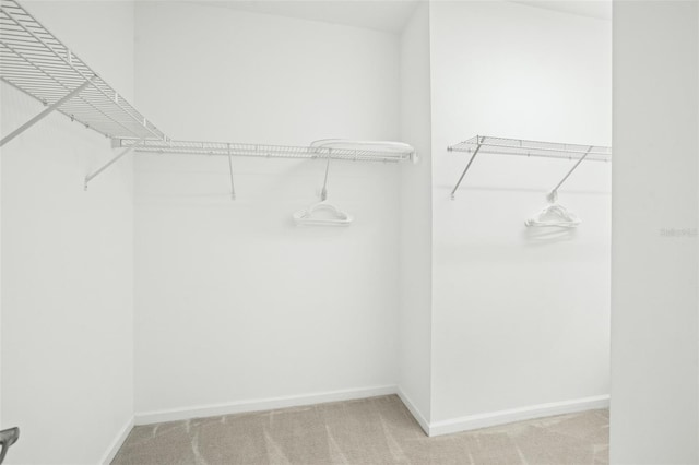 walk in closet with carpet flooring