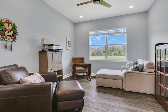 living room with ceiling fan and wood-type flooring