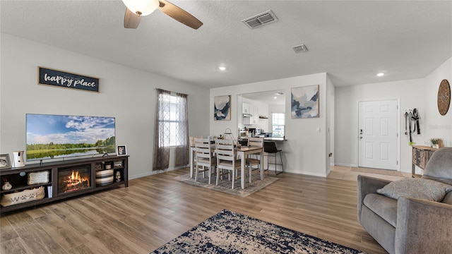 living room with a textured ceiling, hardwood / wood-style floors, and ceiling fan