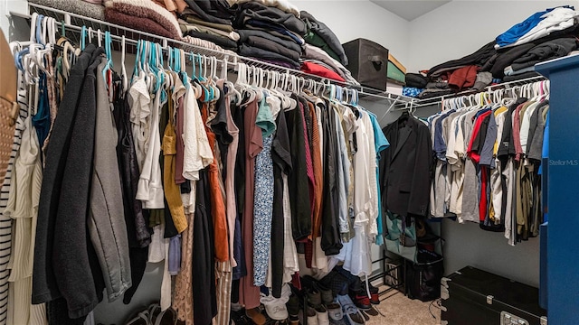 spacious closet featuring carpet flooring