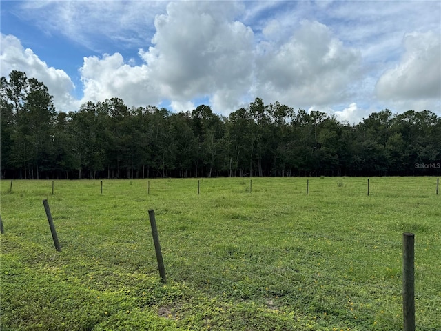 Green Swamp Rd, Clermont FL, 34714 land for sale