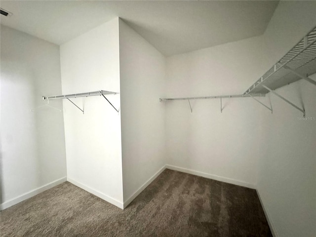 walk in closet with dark carpet