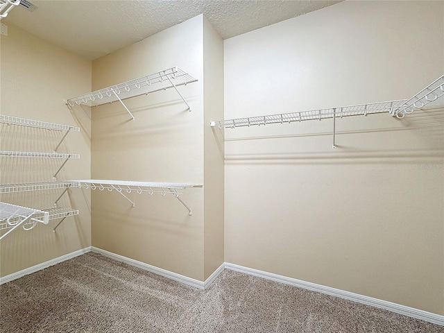 walk in closet featuring carpet