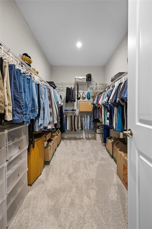 walk in closet featuring carpet flooring