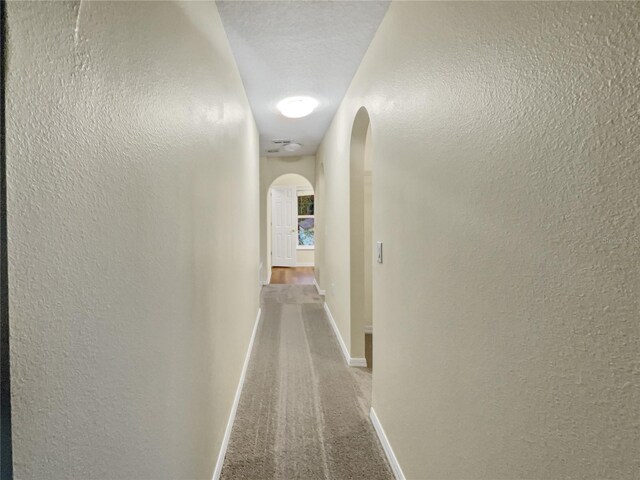 corridor with carpet and a textured ceiling