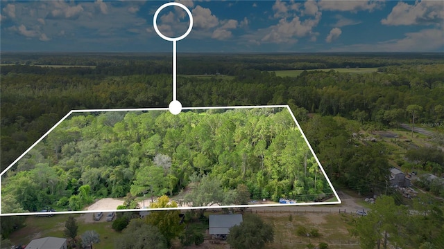 Farmingdale Rd, Clermont FL, 34714 land for sale