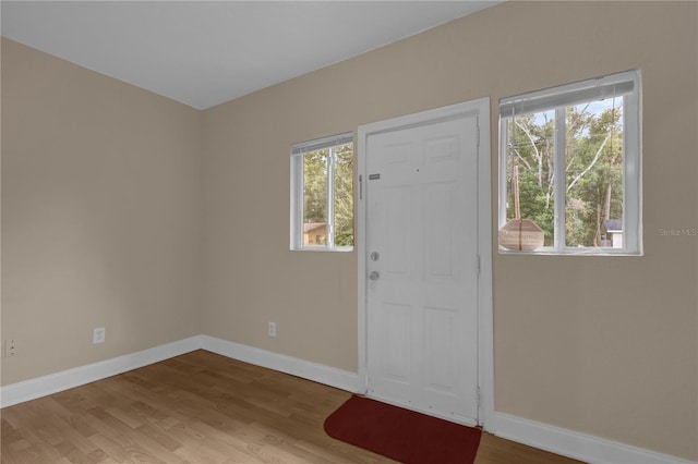 foyer with hardwood / wood-style flooring