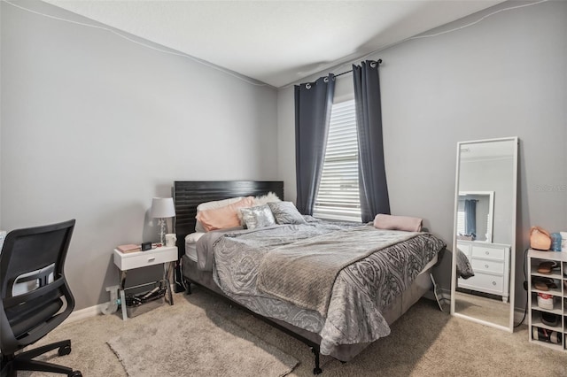 bedroom with carpet floors