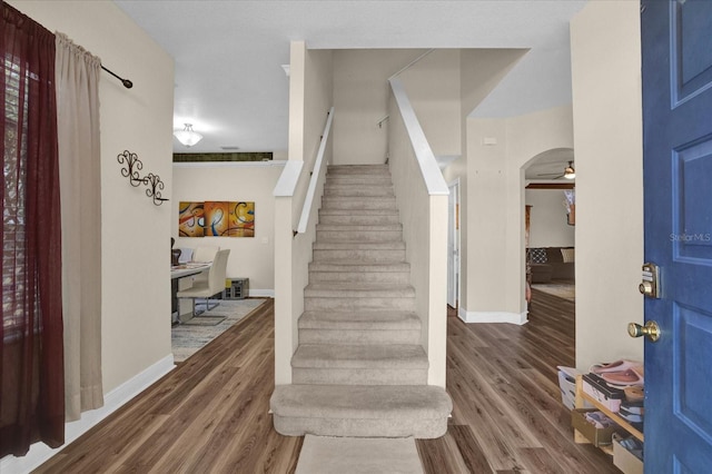 entrance foyer featuring wood-type flooring and ceiling fan