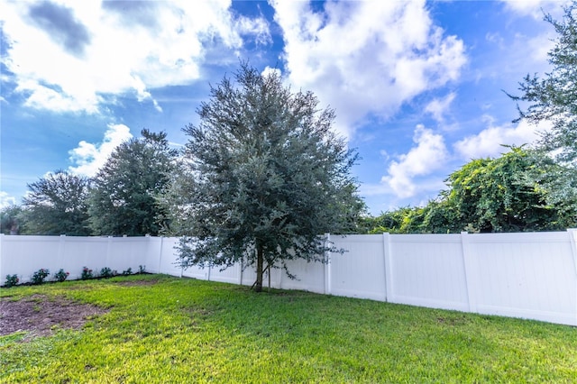 view of yard with a fenced backyard