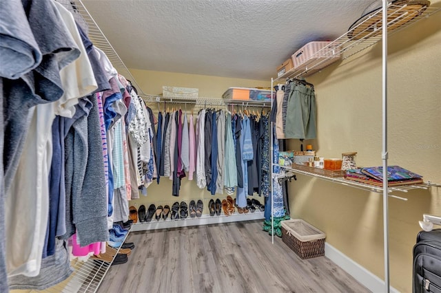 walk in closet featuring wood-type flooring