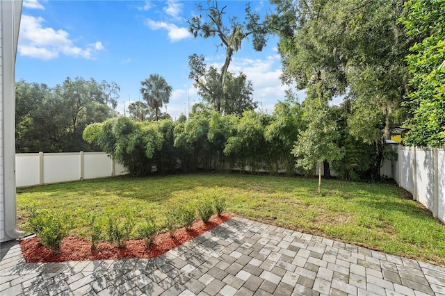 view of yard with a patio area