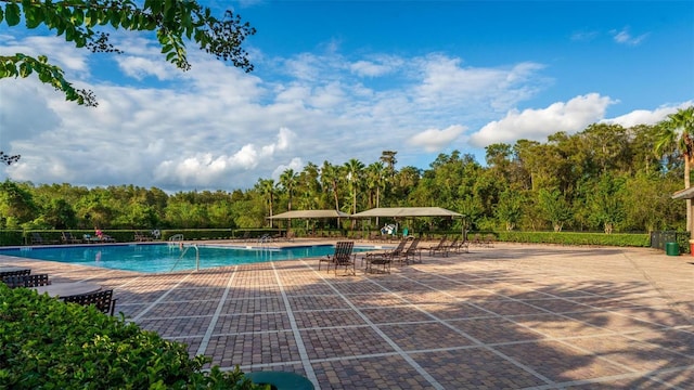 view of swimming pool featuring a patio area