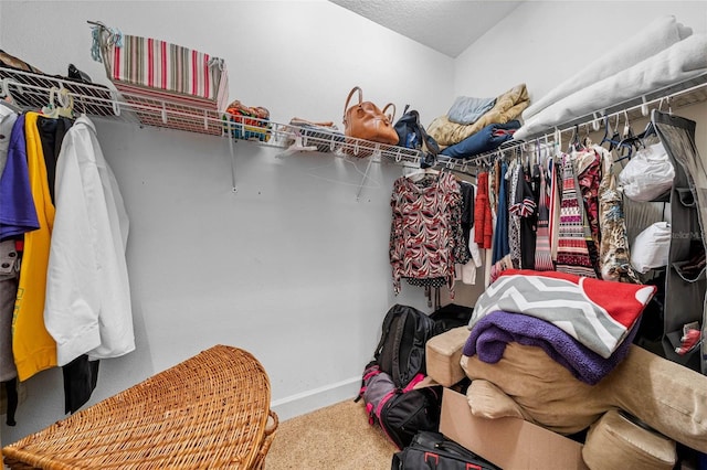 spacious closet with carpet