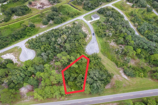 607 Mediterranean Ln, Kissimmee, FL 34759 - photo 4