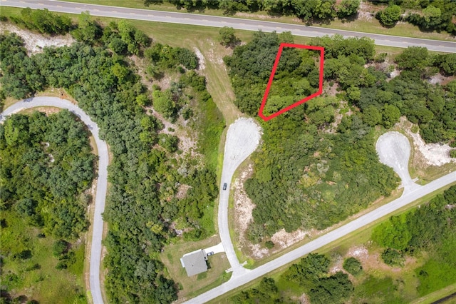 607 Mediterranean Ln, Kissimmee, FL 34759 - photo 11