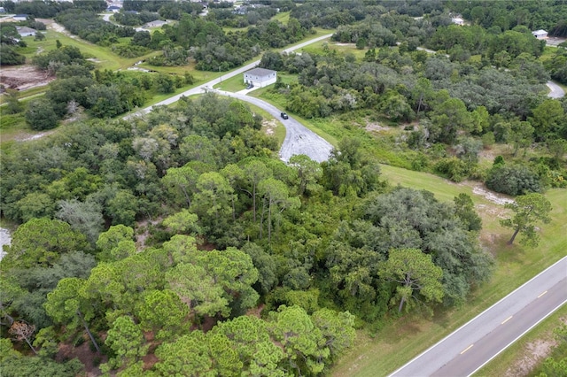 607 Mediterranean Ln, Kissimmee, FL 34759 - photo 13