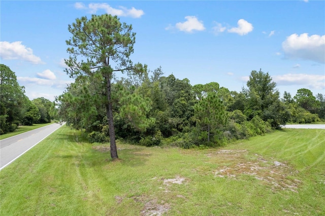 607 Mediterranean Ln, Kissimmee, FL 34759 - photo 14