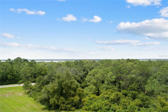607 Mediterranean Ln, Kissimmee, FL 34759 - photo 17