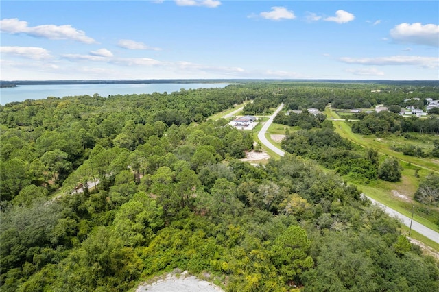 607 Mediterranean Ln, Kissimmee, FL 34759 - photo 18