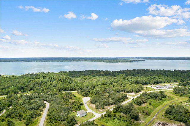 607 Mediterranean Ln, Kissimmee, FL 34759 - photo 21