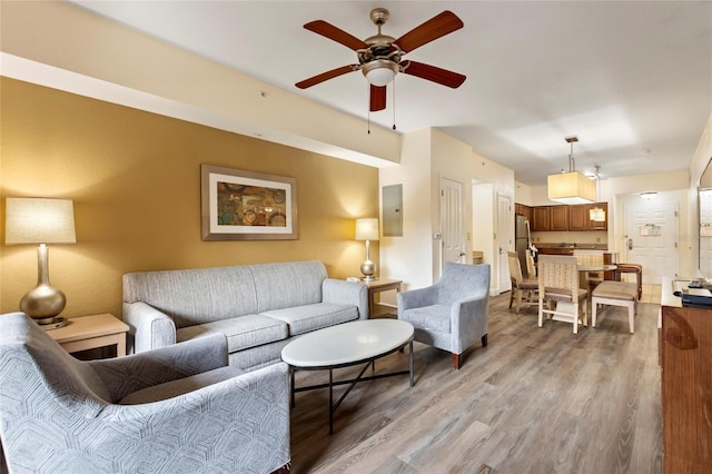 living room featuring ceiling fan and wood-type flooring