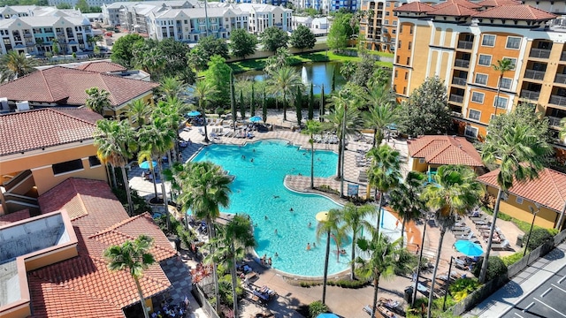 view of pool featuring a patio