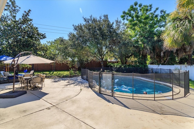 view of swimming pool featuring a patio area