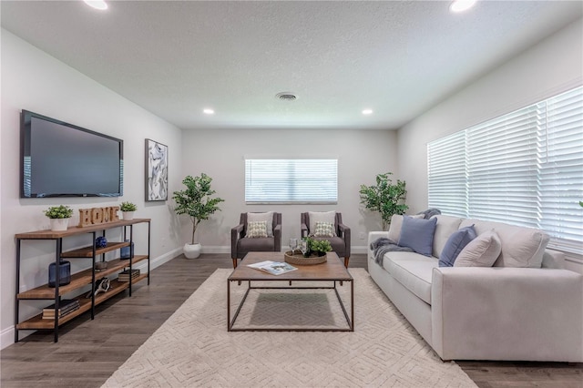 living room with a textured ceiling and wood-type flooring