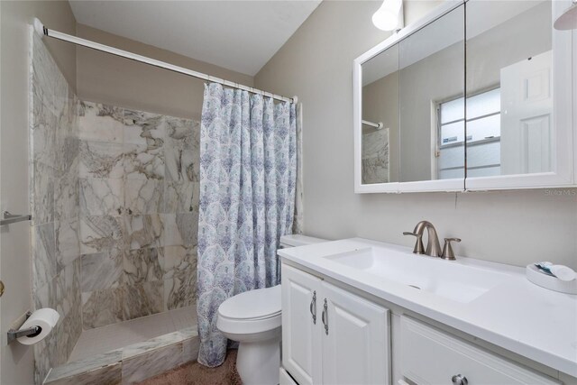 bathroom with vanity, toilet, and a shower with curtain