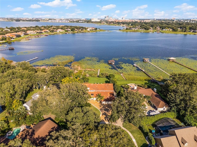 8605 Bay Shore Cv, Orlando, FL 32836 - aerial view with a water view